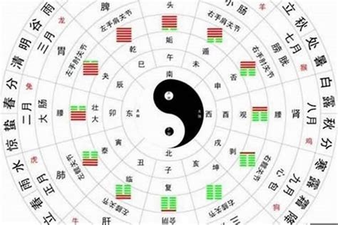 身旺 身弱|八字身弱、身旺、从弱、从旺怎么看？五行格局判断方法